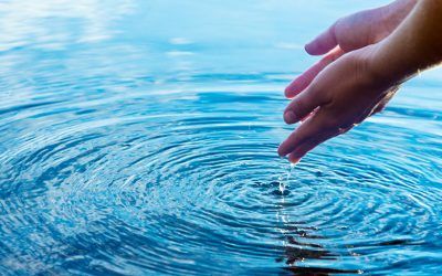 Watering our conscience
