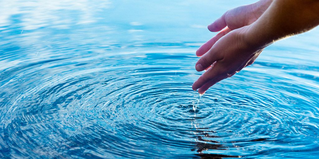 Watering our conscience