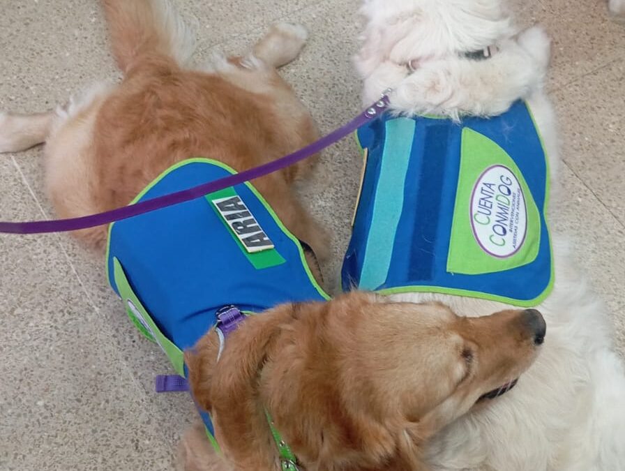 Terapia con perros