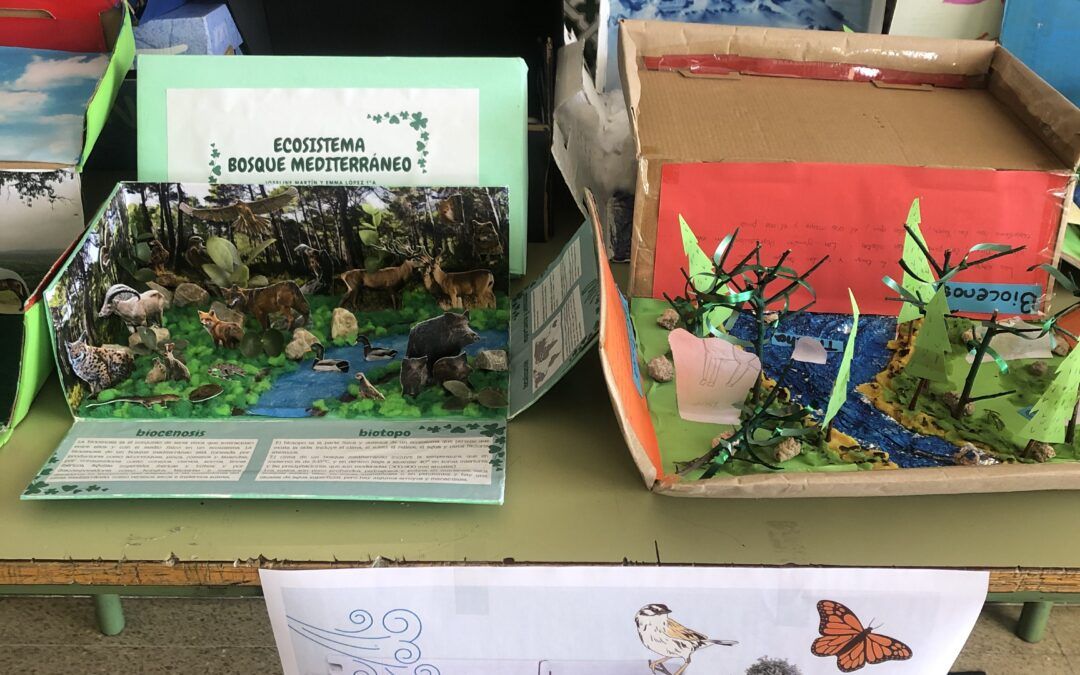 Dioramas: Ecosistemas